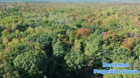4175 Beech Ave, Newaygo, MI 49337 photo 2