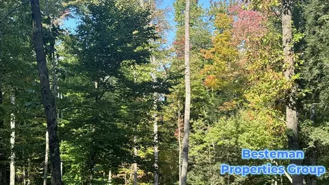 4175 Beech Ave, Newaygo, MI 49337 photo 8