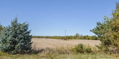 Brocklebank, Quincy, MI 49082