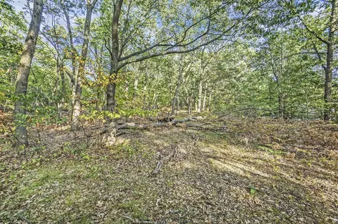 V/l Alpine, Spring Lake, MI 49456 photo 9