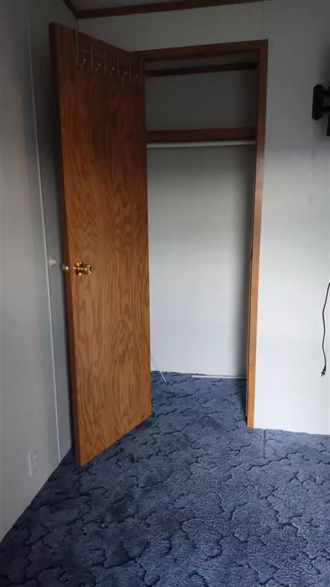 545 E Streambank, Newaygo, MI 49337 photo 23