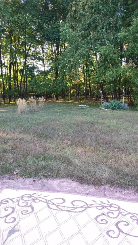 545 E Streambank, Newaygo, MI 49337 photo 9