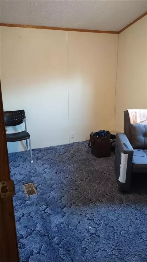 545 E Streambank, Newaygo, MI 49337 photo 18