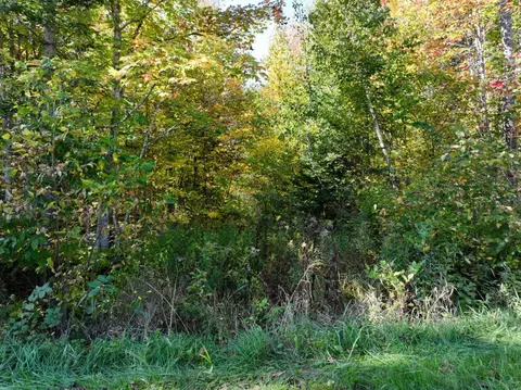 V/l 20a Dukes, Update, MI 49885 photo 8