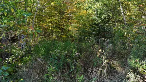 V/l 20a Dukes, Update, MI 49885 photo 9