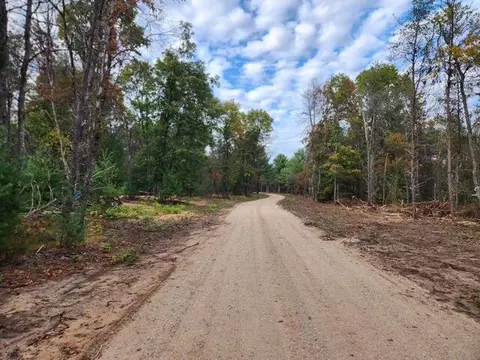 Parcel E Tatanka Trail, Baldwin, MI 49304 photo 2