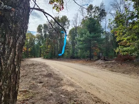 Parcel E Tatanka Trail, Baldwin, MI 49304 photo 3