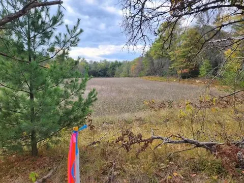 Parcel J Tatanka Trail, Baldwin, MI 49304 photo 3