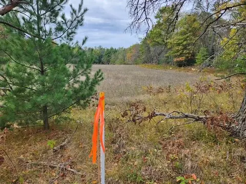 Parcel J Tatanka Trail, Baldwin, MI 49304 photo 4