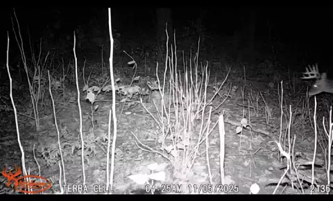 V/l E 22 3/4 Rd, Manton, MI 49663 photo 5