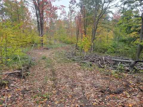 V/l E 22 3/4 Rd, Manton, MI 49663 photo 16