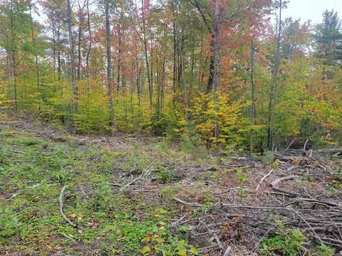 V/l E 22 3/4 Rd, Manton, MI 49663 photo 14