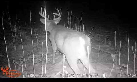 V/l E 22 3/4 Rd, Manton, MI 49663 photo 2