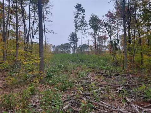 V/l E 22 3/4 Rd, Manton, MI 49663 photo 10