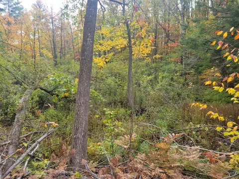 V/l E 22 3/4 Rd, Manton, MI 49663 photo 8