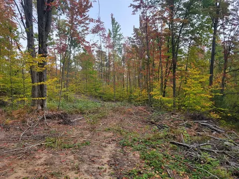 V/l E 22 3/4 Rd, Manton, MI 49663 photo 15