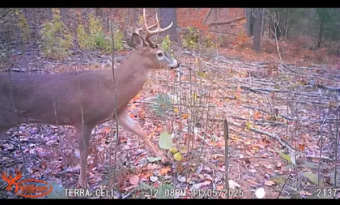 V/l E 22 3/4 Rd, Manton, MI 49663 photo 3