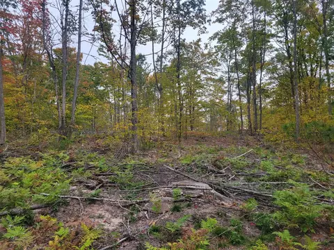 V/l E 22 3/4 Rd, Manton, MI 49663 photo 11