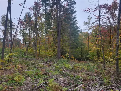 V/l E 22 3/4 Rd, Manton, MI 49663 photo 12