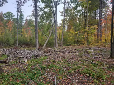 V/l E 22 3/4 Rd, Manton, MI 49663 photo 17