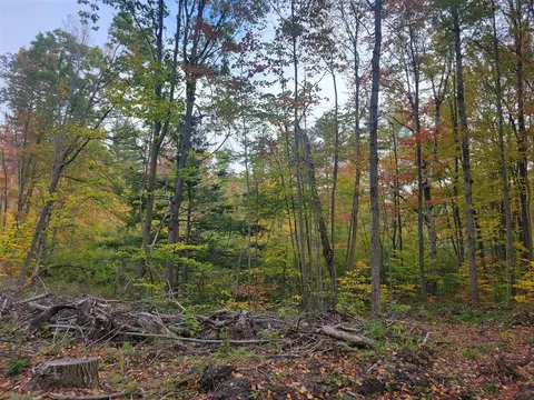 V/l E 22 3/4 Rd, Manton, MI 49663 photo 6