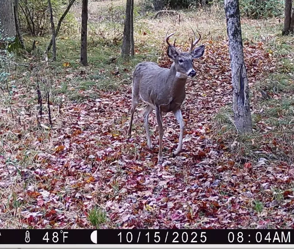 Other - 8999 S Ferris, Grant, MI 49327 photo 6 of 7