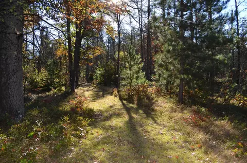 00 28th, White Cloud, MI 49349 photo 8