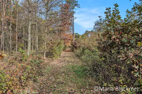 E Charles, Ionia, MI 48846