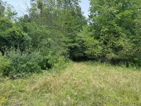 Pawnee, Evart, MI 49631 photo 12