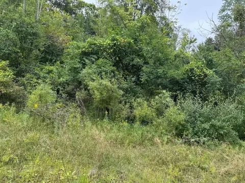 Pawnee, Evart, MI 49631 photo 16