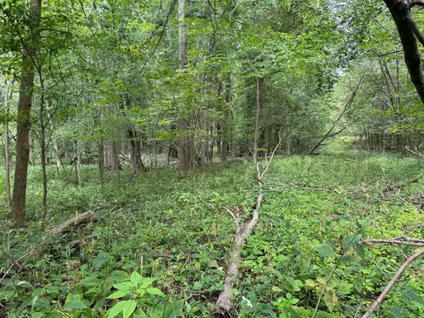Pawnee, Evart, MI 49631 photo 13