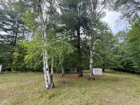 Pawnee, Evart, MI 49631 photo 73