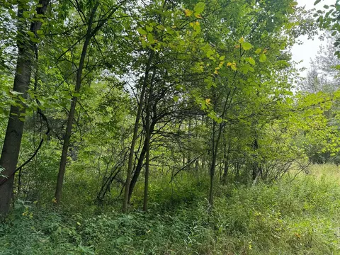 Pawnee, Evart, MI 49631 photo 6