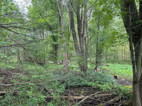 Pawnee, Evart, MI 49631 photo 11