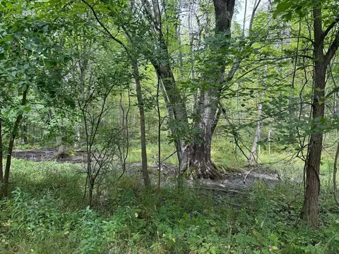 Pawnee, Evart, MI 49631 photo 14