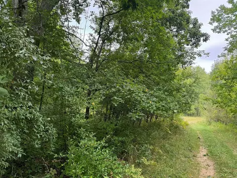 Pawnee, Evart, MI 49631 photo 10