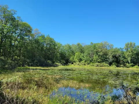 lot S 1-9 Cranberry, Wellston, MI 49689