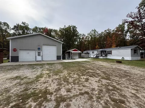 9609 N Irons, Irons, MI 49644