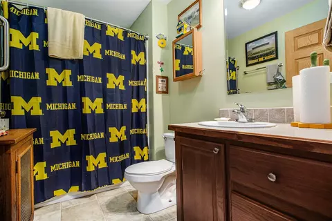 667 River, Coldwater, MI 49036 photo 13