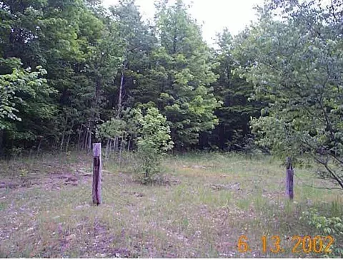 0 Deward, Frederic, MI 49733