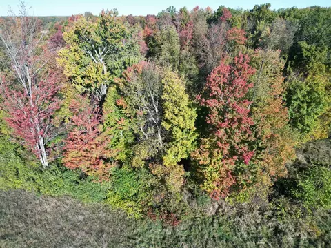 F, Marshall, MI 49068 photo 3