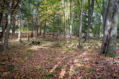 V/l E Harrison, Walkerville, MI 49459 photo 33