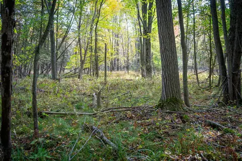 V/l E Harrison, Walkerville, MI 49459 photo 21