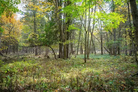 V/l E Harrison, Walkerville, MI 49459 photo 23