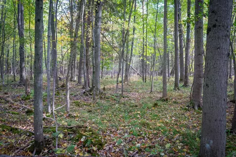 V/l E Harrison, Walkerville, MI 49459 photo 20