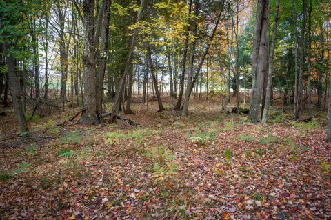 V/l E Harrison, Walkerville, MI 49459 photo 34