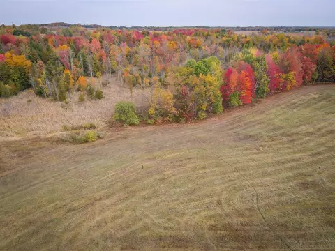 V/l E Harrison, Walkerville, MI 49459 photo 7