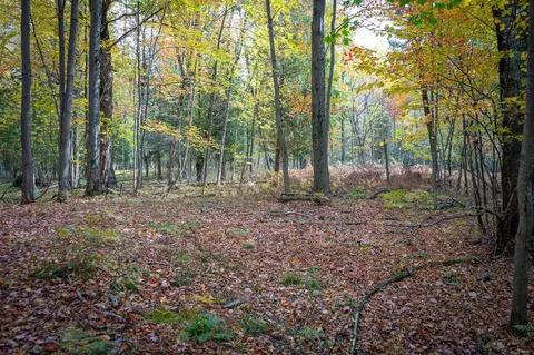 V/l E Harrison, Walkerville, MI 49459 photo 32