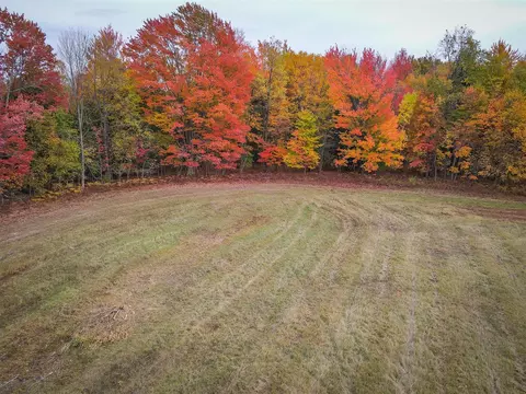 V/l E Harrison, Walkerville, MI 49459 photo 13