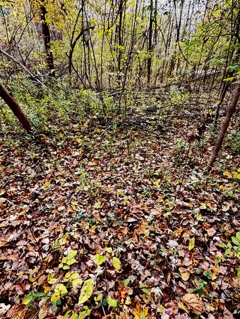 lot302 Hilcresthelen Dr, Update, MI 48744